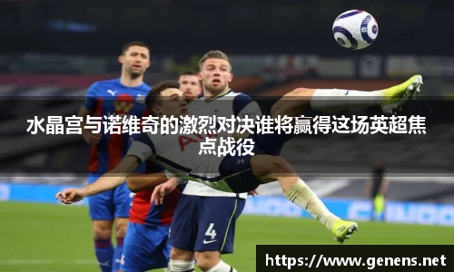 水晶宫与诺维奇的激烈对决谁将赢得这场英超焦点战役